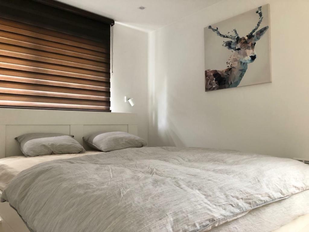 Les Terrasses De Malmedy Duplex 428 Lägenhet Exteriör bild